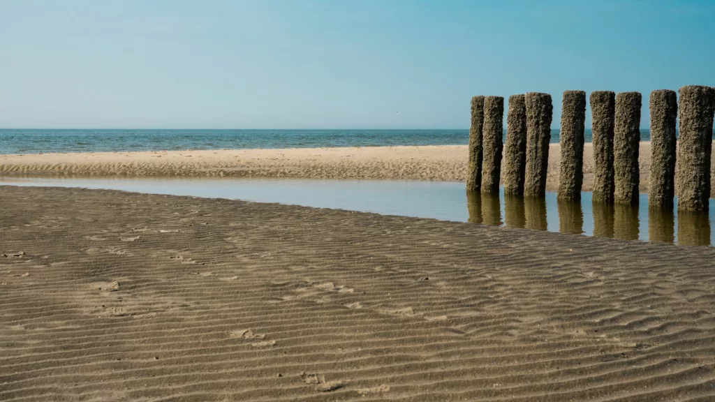 plage zélande voyage camping-car