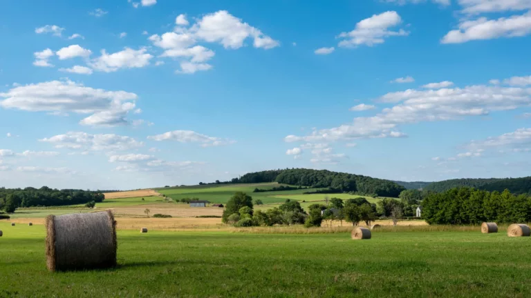 campagne belgique camping-car