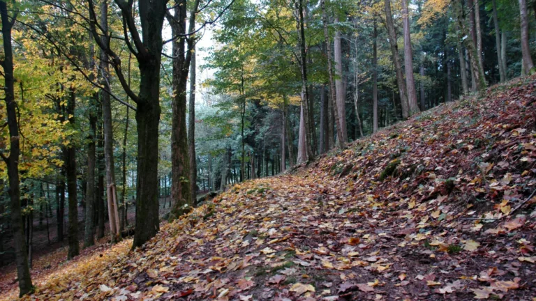 nature belge camping-car